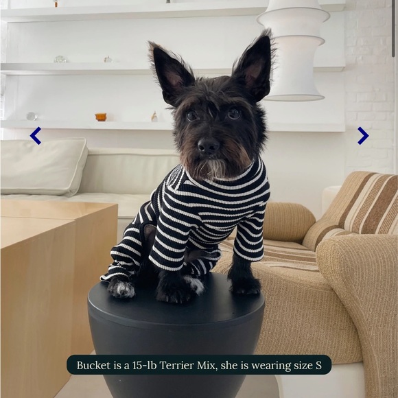 Little Beast Dog Nwt Little Beast Cafe In Paris Onesie Poshmark